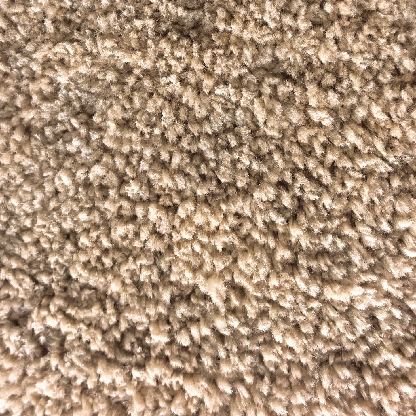 SHAGGY RUG CREAM